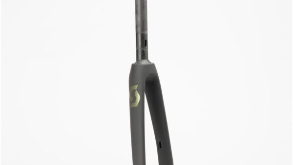 HORQUILLA ADDICT RC 30 D 22 RAW CARBON