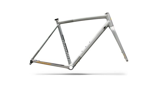 Cuadro Crux DSW Specialized - Shadow Silver/California Sunshine - vista general