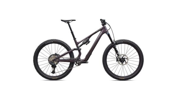Stumpjumper 15 EVO Expert: carbono FACT 11m