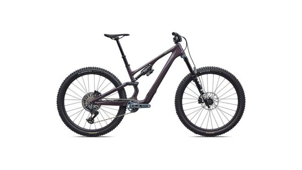 Stumpjumper 15 EVO Expert: carbono FACT 11m