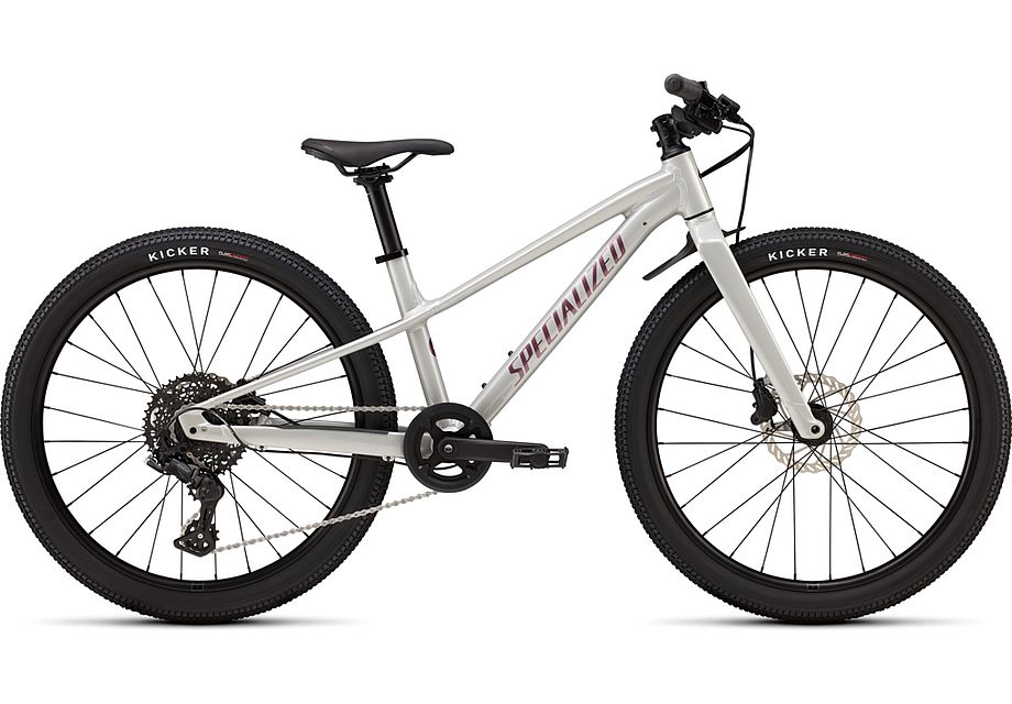 Riprock 24 Specialized - Gloss Smoke / Fjord Metallic - vista general